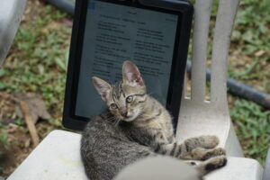 South America adventure