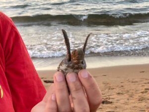 Cyprus peaceful moment