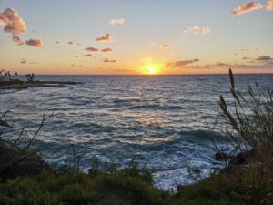Cyprus winter beauty